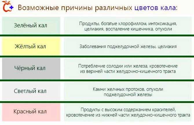 С чем может быть связано появление желтого или оранжевого кала у собак