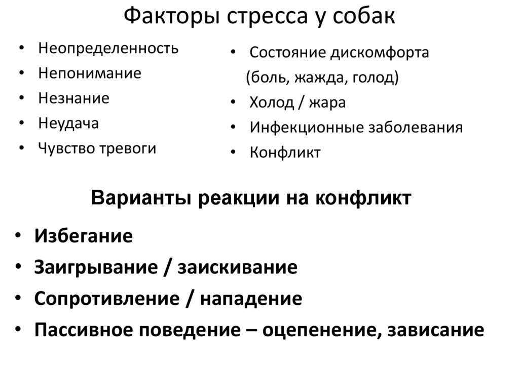 Течка у кошки: как успокоить, как часто бывает и что делать