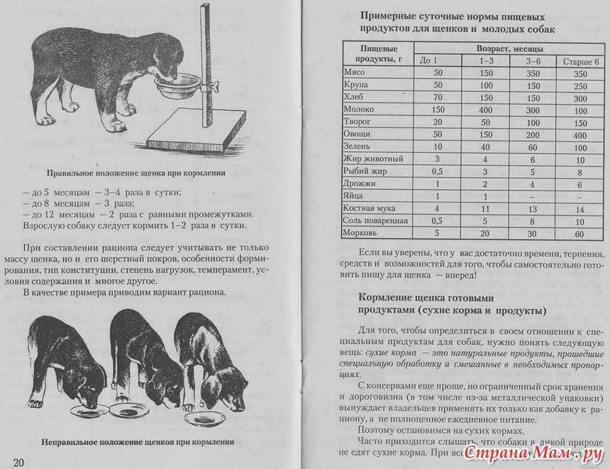 Как правильно кормить щенка с одного месяца до года
