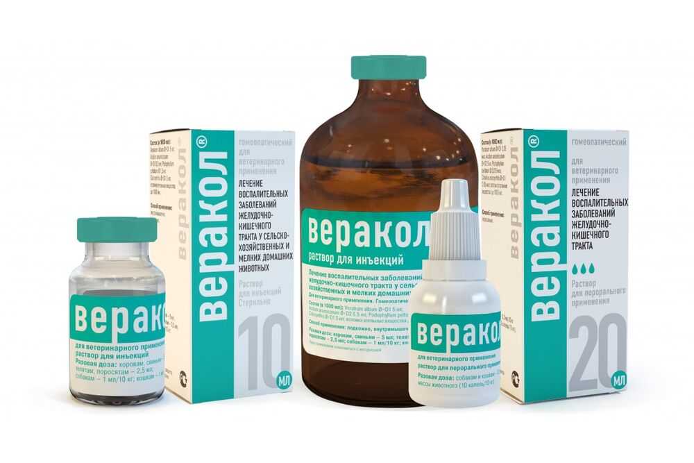 Веракол для кошек: инструкция по применению, отзывы, аналоги