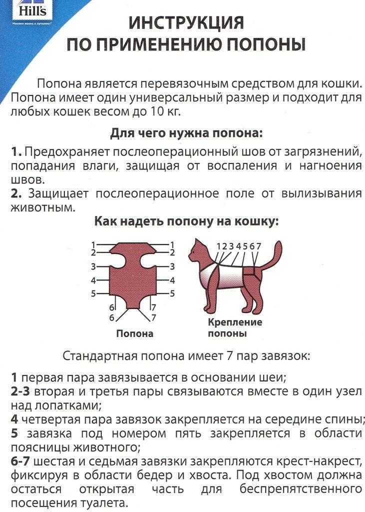 Как сшить попону для кошки после стерилизации: выкройка одежды своими руками