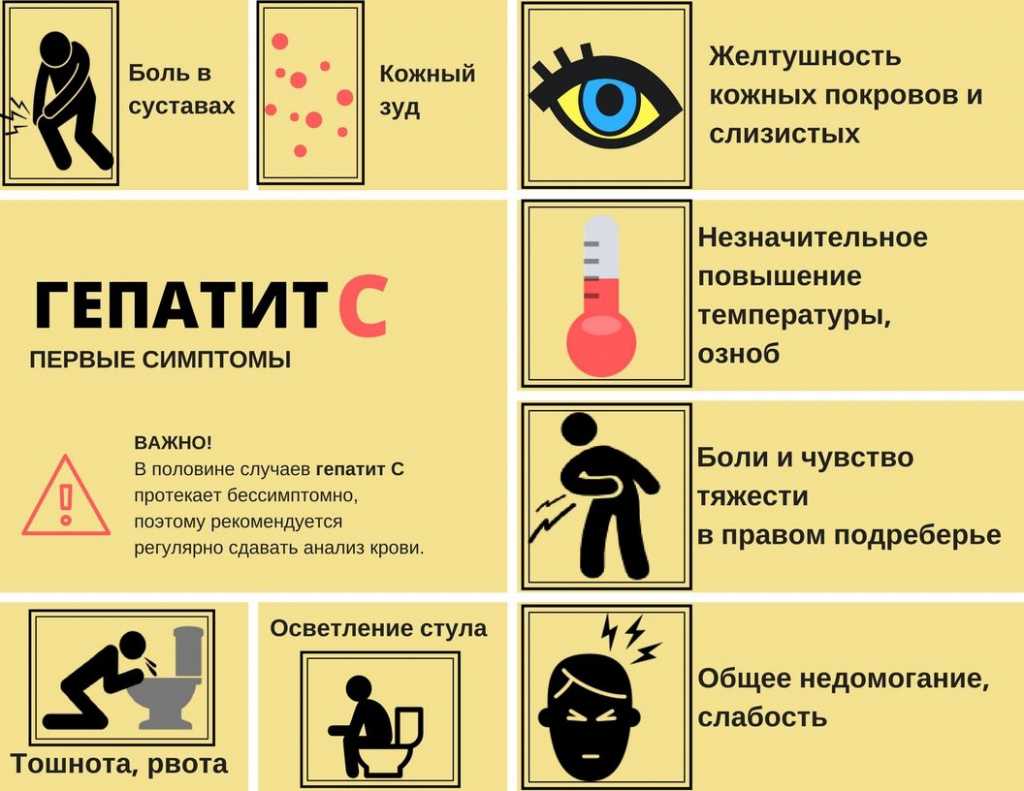 ᐉ гепатит - как лечить у собак - ➡ motildazoo.ru