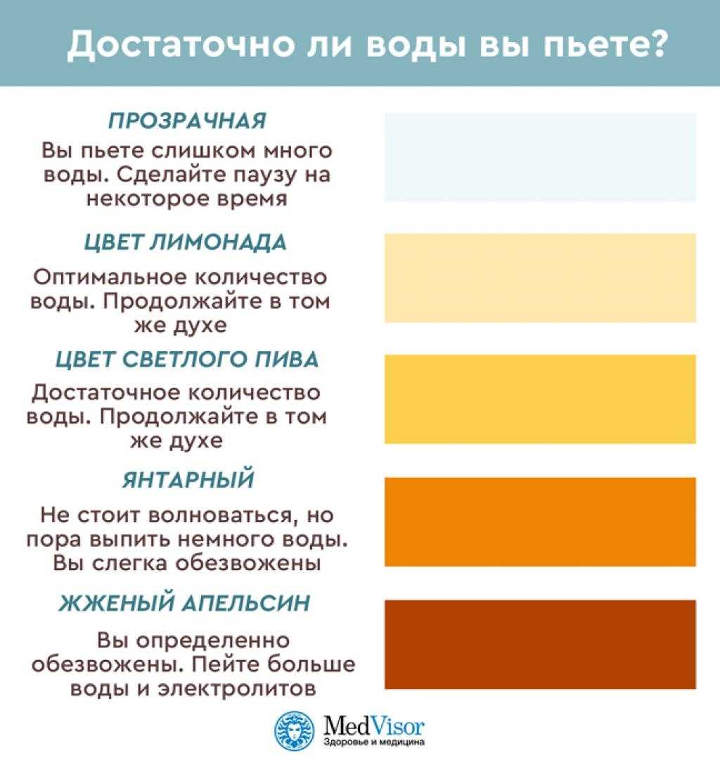 Темная моча у кошки - определение болезни и причин по цвету урины
