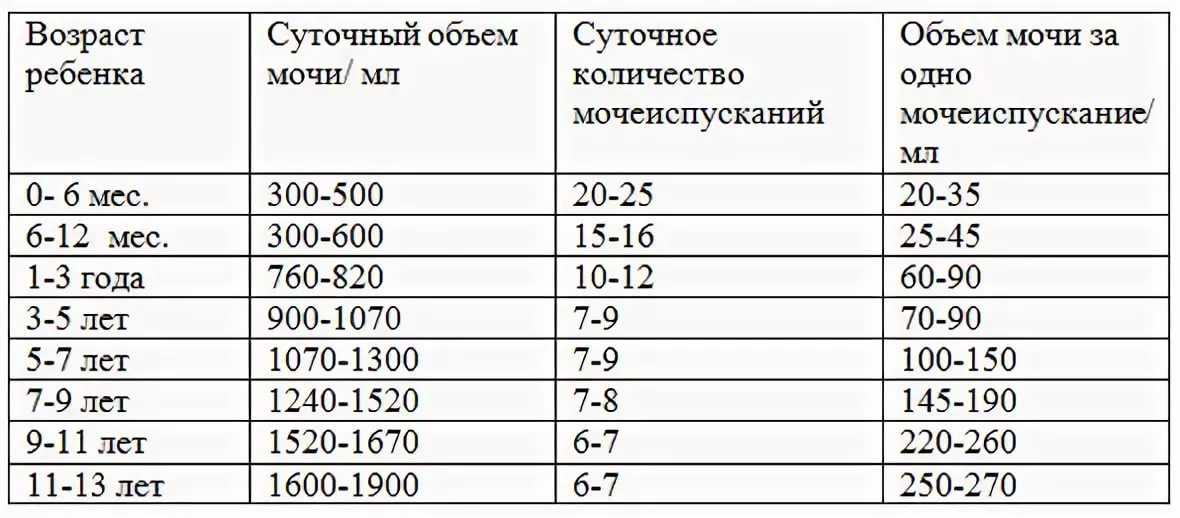 Сколько раз в день должен писать кот?
