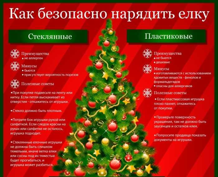 Какие неприятности могут подстерегать кота на новый год?