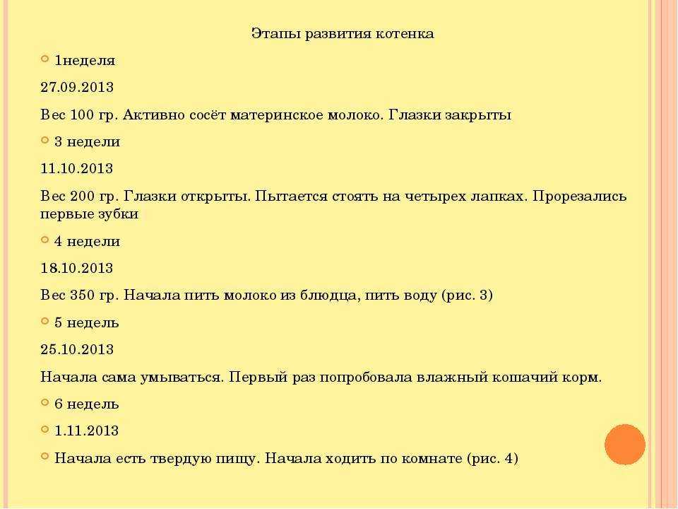 Когда открывают глаза котята, через сколько дней после рождения они начинают видеть?