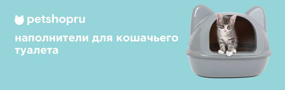 Профессиональные средства: запаха кошек не будет! - кот, пёс и я