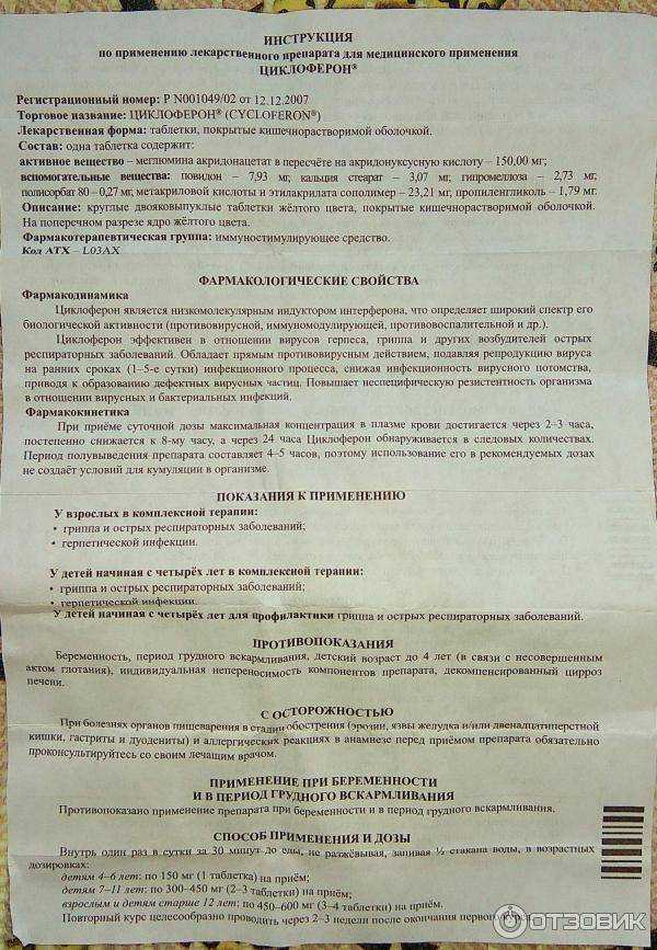 Можно ли давать антибиотики кошкам: побочные действия, противопоказания. применение человеческих антибиотиков для кошек. лучшие ветеринарные антибиотики для кошек.