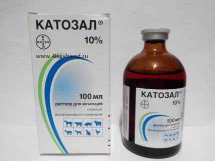 Катозал для кошек: инструкция по применению и отзывы о препарате
