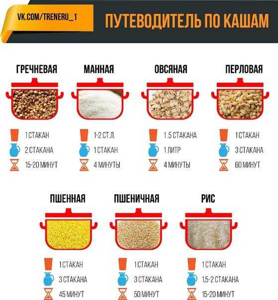 Какой крупой лучше кормить собаку, как варить еду для питомца вкусно и быстро. какую крупу можно собакам, а какую нельзя