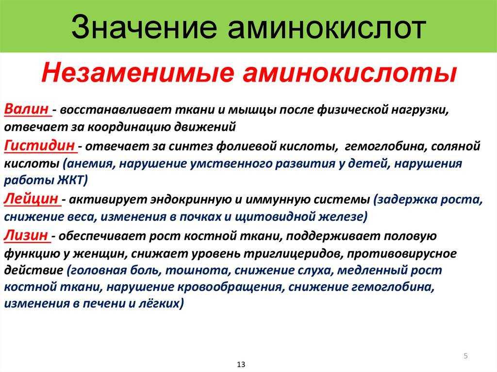 Ветеринарная диетология потребность в аминокислотах для оптимального синтеза кишечного муцина и защиты кишечника в здоровом и патологическом состояниях