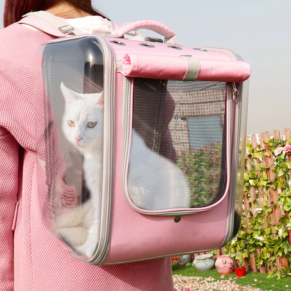 Лучшие переноски для кошек