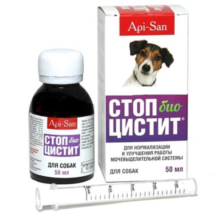Стоп-цистит: особенности  лекарства для кошек