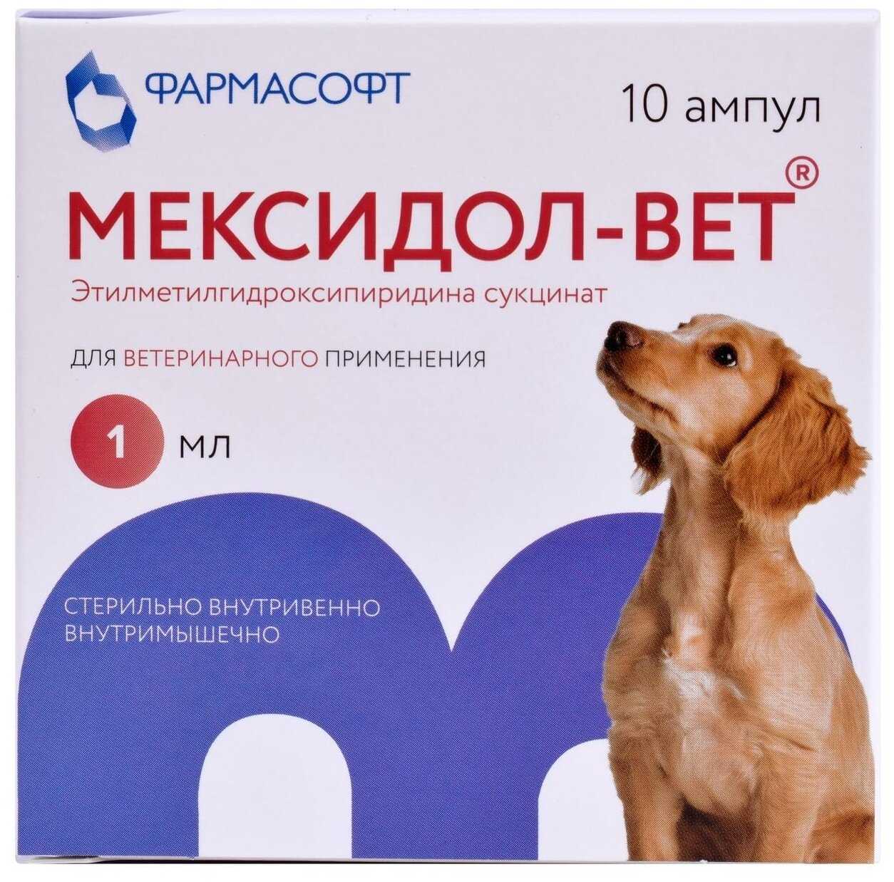 Мексидол для кошек: инструкция по применению