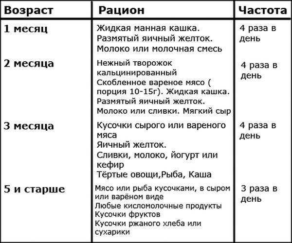 Вопрос: почему коты не любят близнецов? - фрукты и ягоды | studok.net