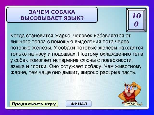 У собаки вывалился язык признак болезни