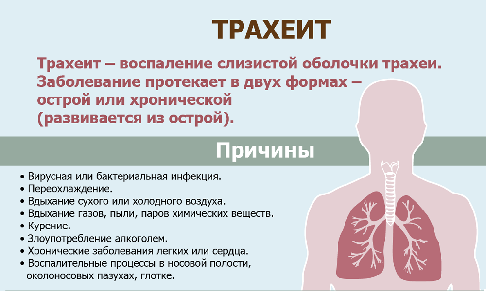 Затрудненное дыхание у собаки: кашель, хрип, удушье