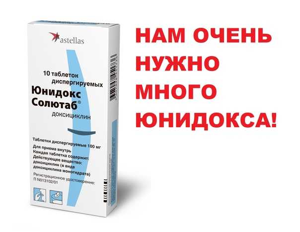 Доксициклин для кошек: состав, применение, дозировка, аналоги
