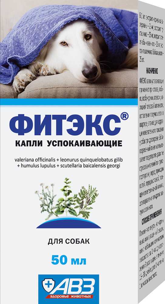 Как давать собаке лекарство