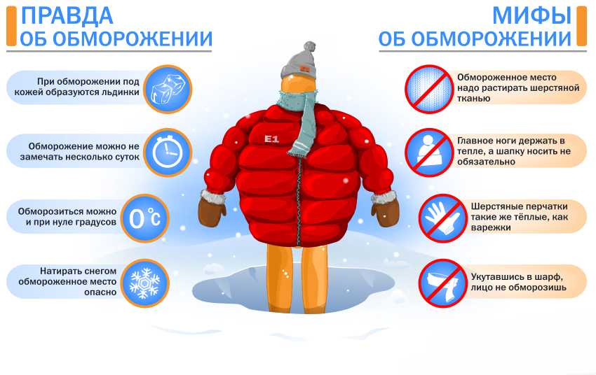 Переохлаждение и обморожение у кошек