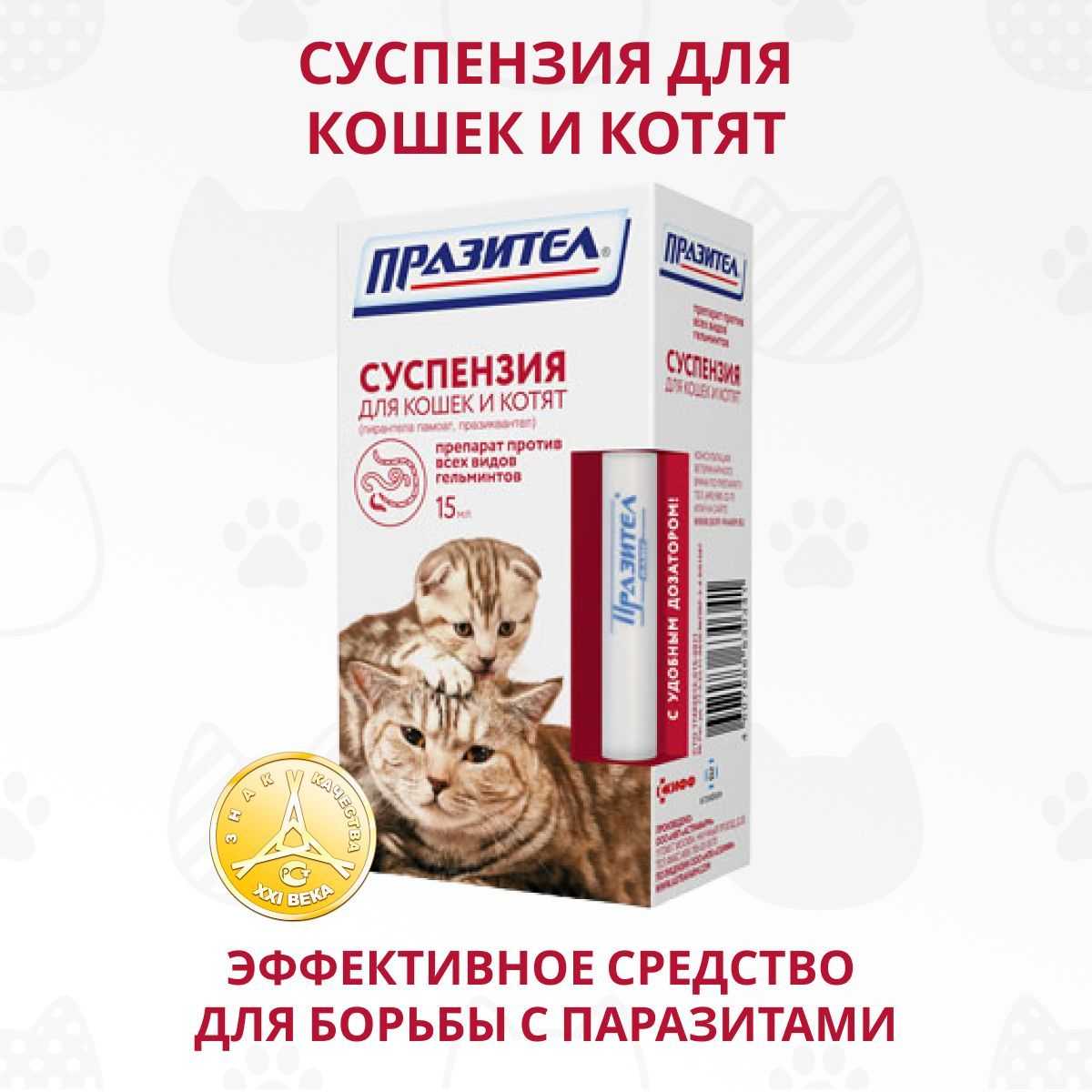 Профилактика глистов у кошек: для чего нужна и как часто проводить | звери дома