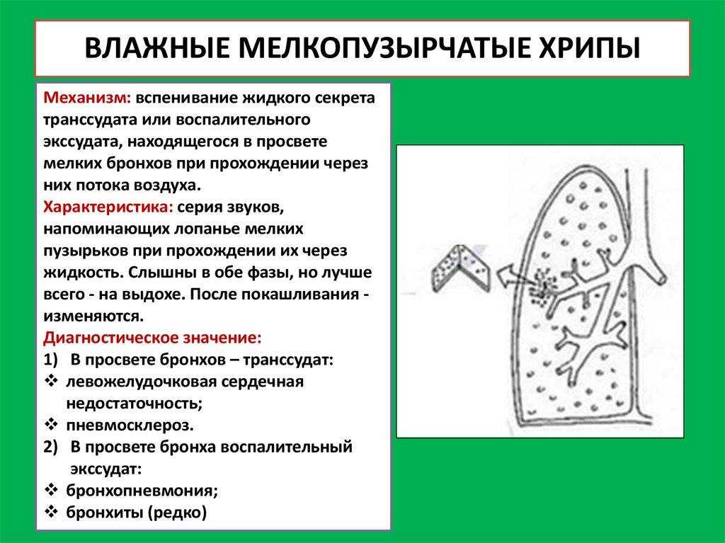 Собака хрюкает