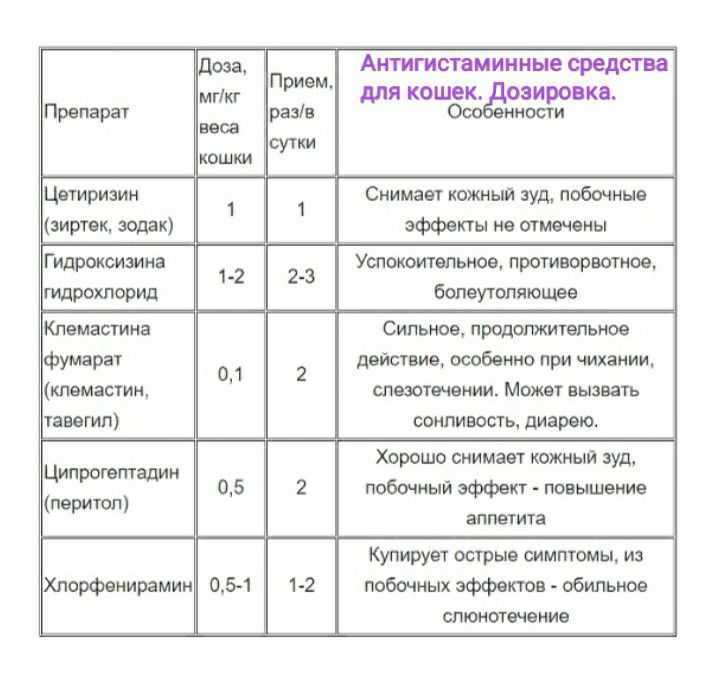 Аллергия у кошек: симптомы и лечение