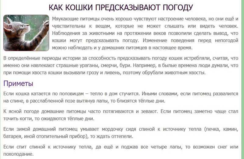 Приметы о погоде по животным