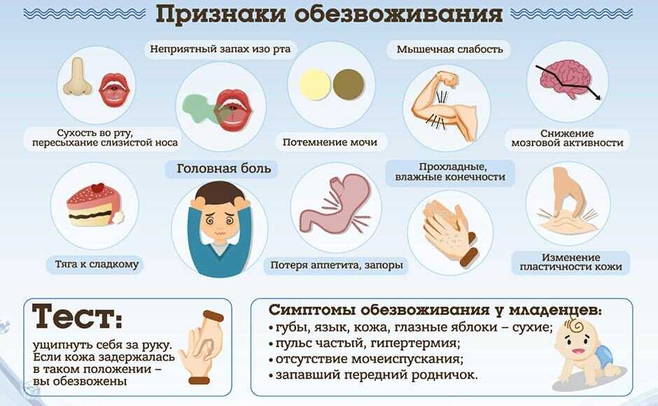 Как кормить истощённую кошку