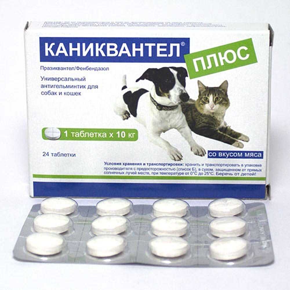 Обзор глистогонных средств для собак.