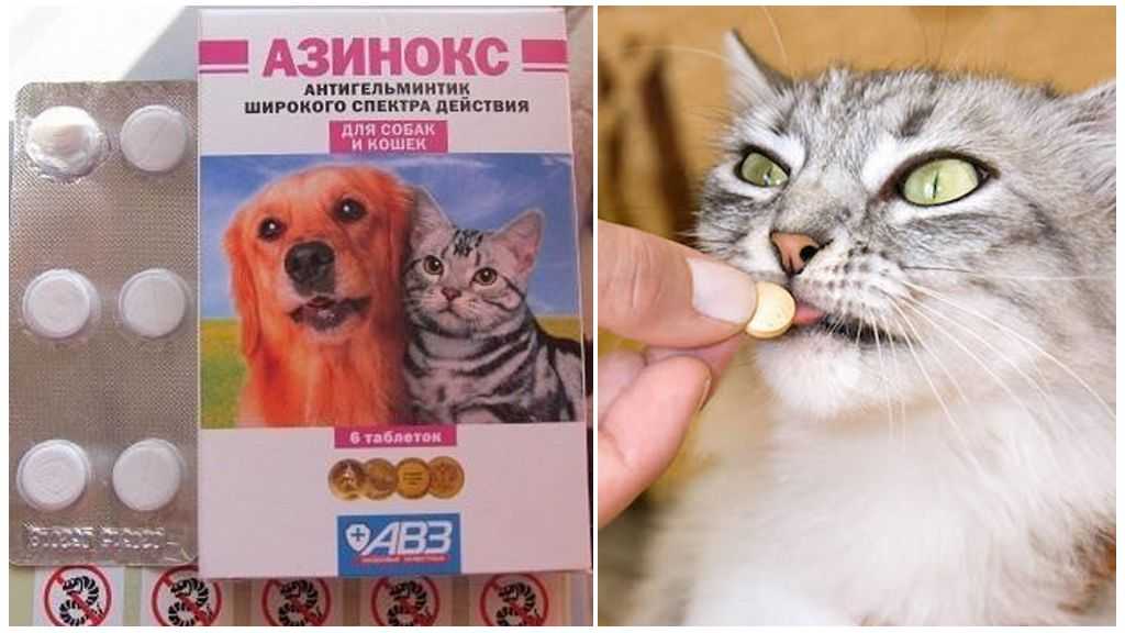 Азинокс плюс