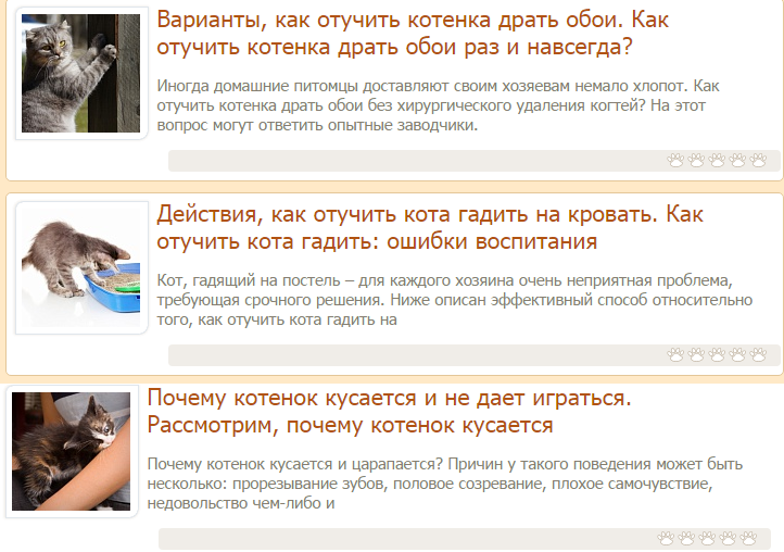 Как отучить вашего кота мочиться в неположенных местах