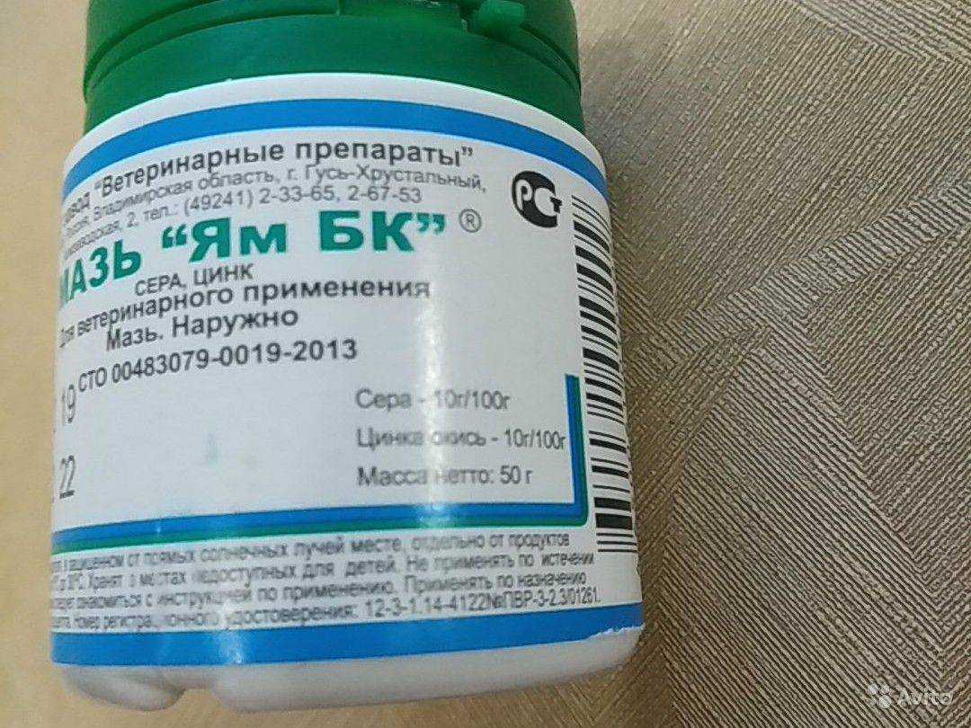 Мазь “ям бк” для кошек от лишая: инструкция по применению препарата для животных