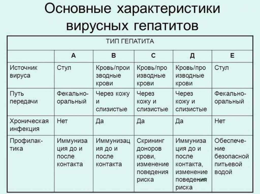 Гепатит у собак