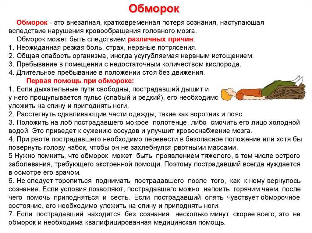 Обмороки у собак. ветеринарная клиника "зоостатус"