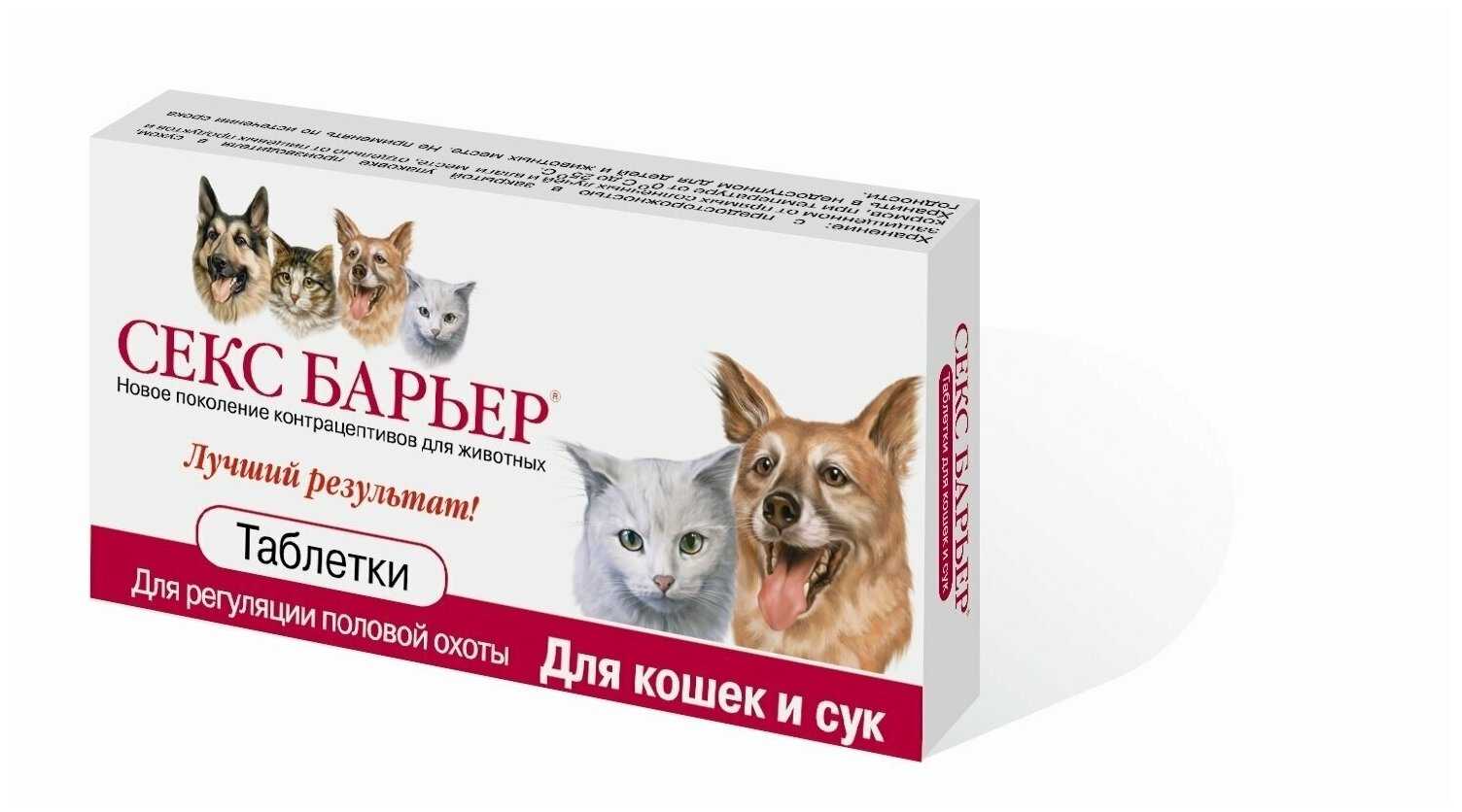 Парацетамол для кошек можно ли давать, действие