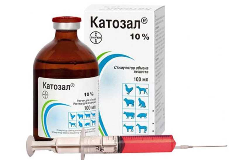 Инструкция по применению катозал для животных: кошек, собак, птиц и домашнего скота