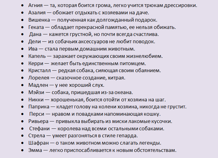 Клички для мальчика и девочки таксы - красивые имена для кобелей и сук, список кличек