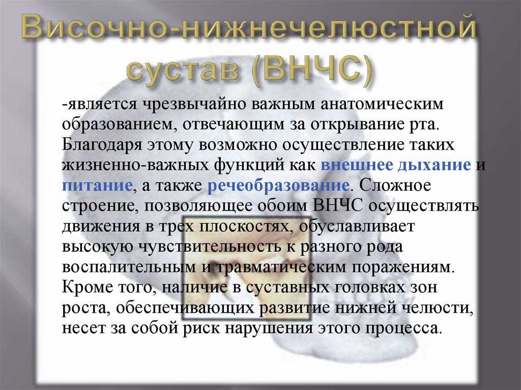 У кошки хрустит челюсть при жевании. почему кошка скрипит зубами и как-будто что-то жуёт: отчего это