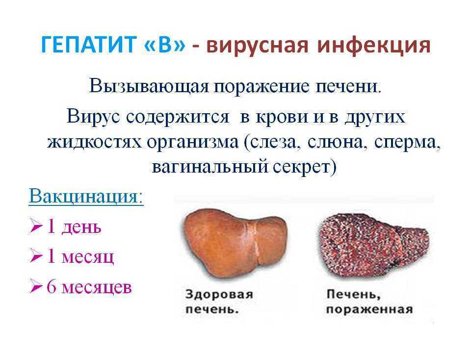 Гепатит с