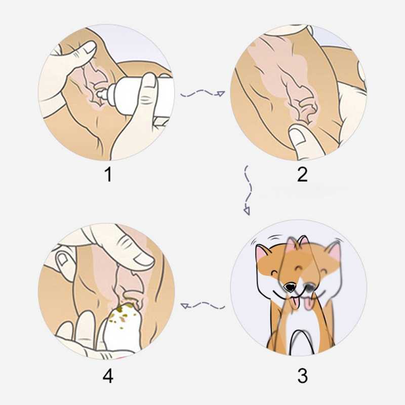 Как чистить уши кошке 🙀 в домашних условиях