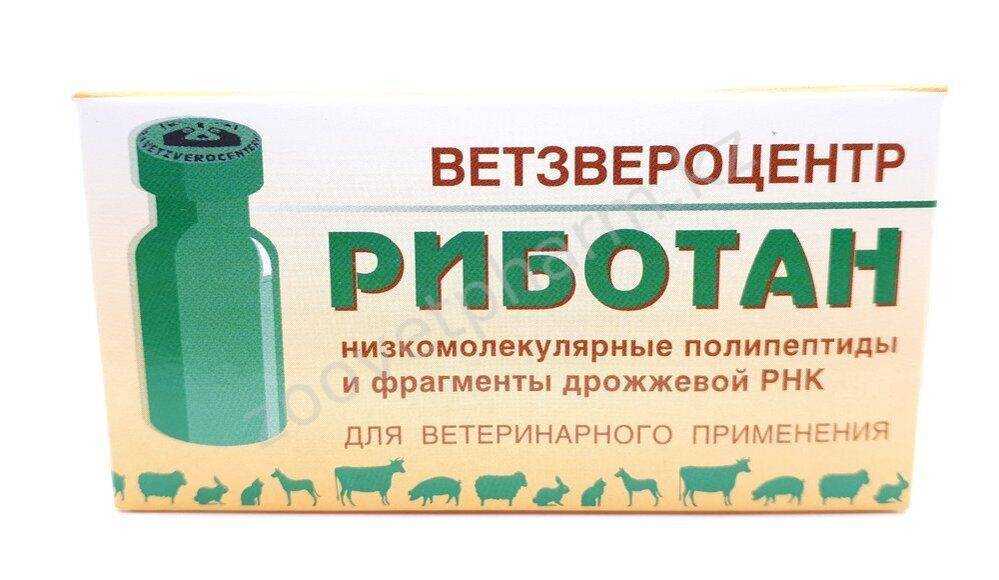 Риботан: инструкция по применению для кошек, отзывы, аналоги препарата