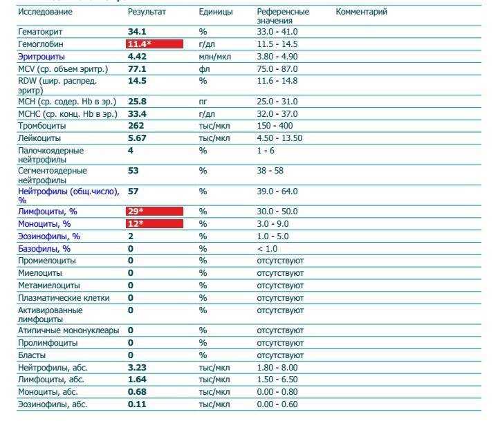 Лейкоцитоз – повышение количества лейкоцитов в крови у собак