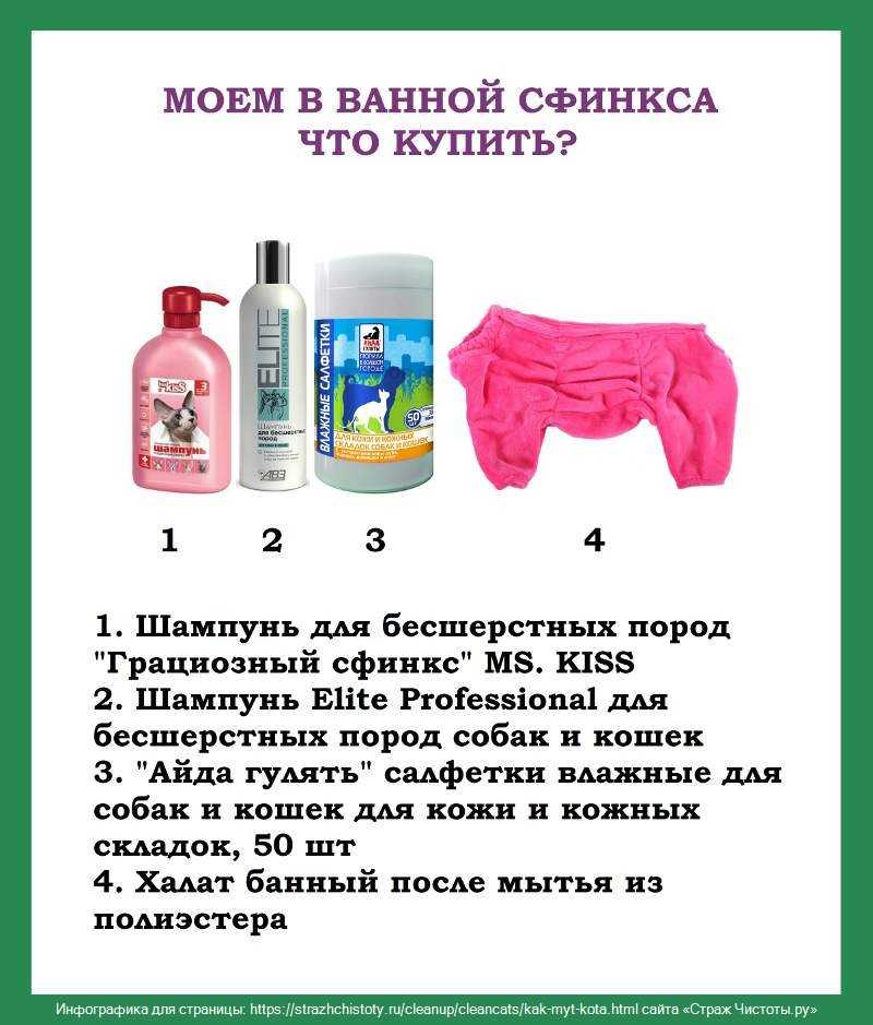 С какого возраста нужно купать котят сфинксов