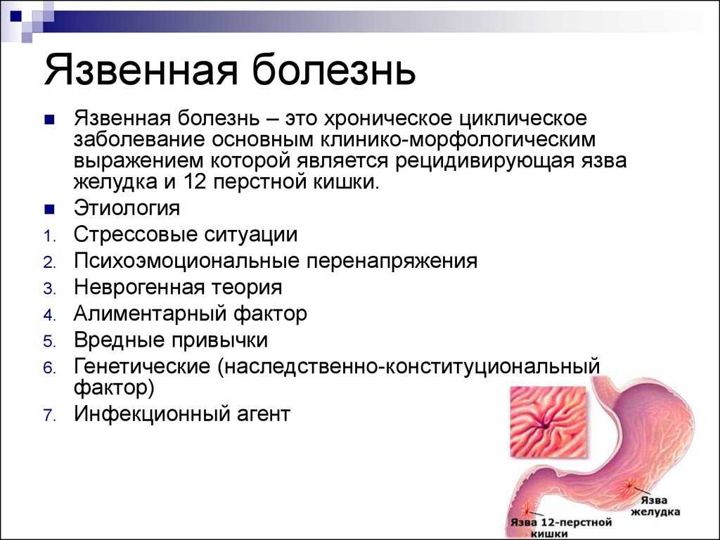 Язва желудка у животных