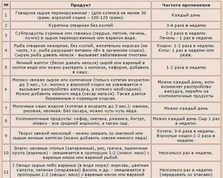 Натуральное питание для кошек – разнообразные и доступные рецепты из рекомендуемых продуктов