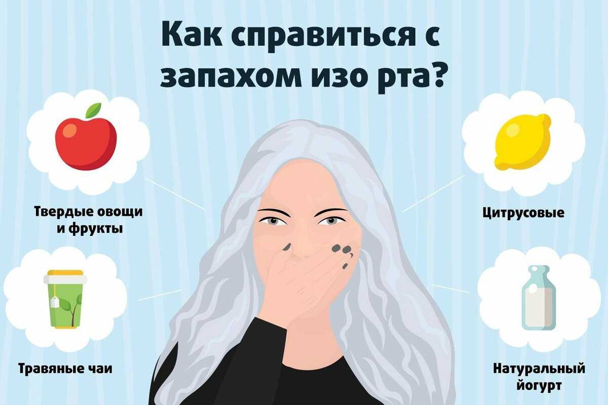 У кота неприятный запах изо рта, что делать: лечение и причины