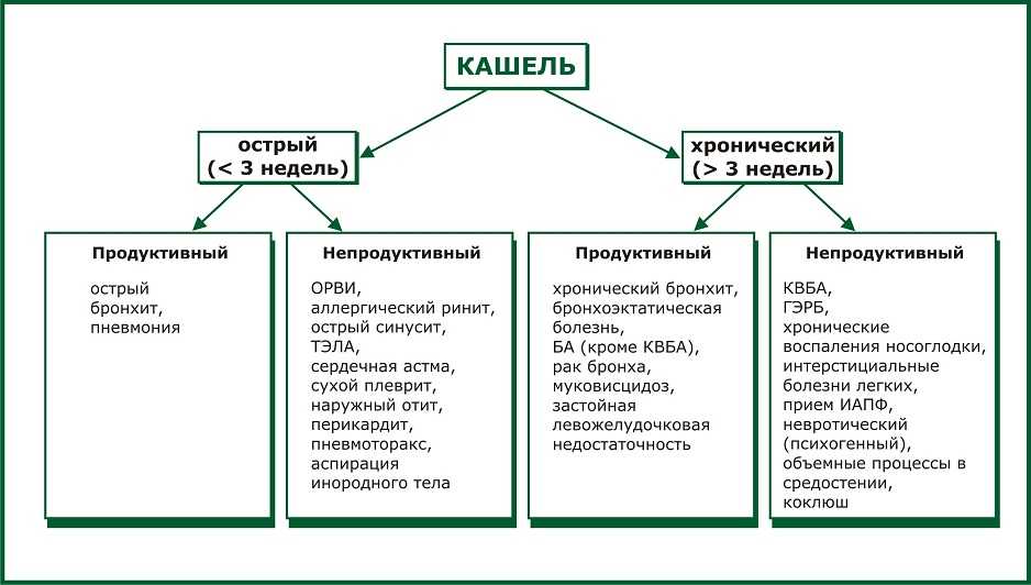 Почему собака кашляет и чем лечить