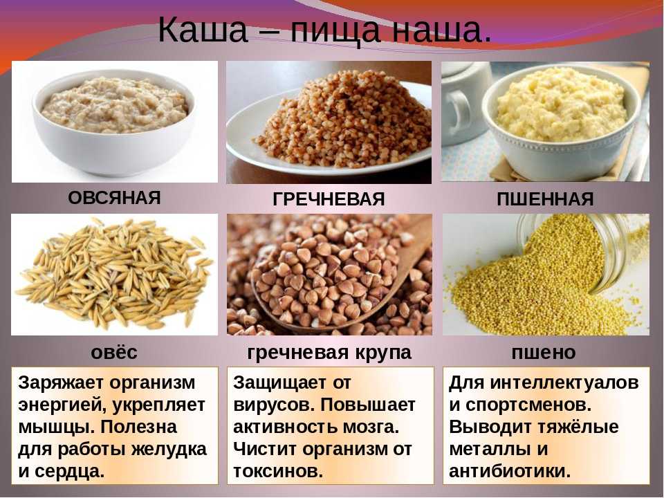 Какие крупы можно и нельзя давать собакам