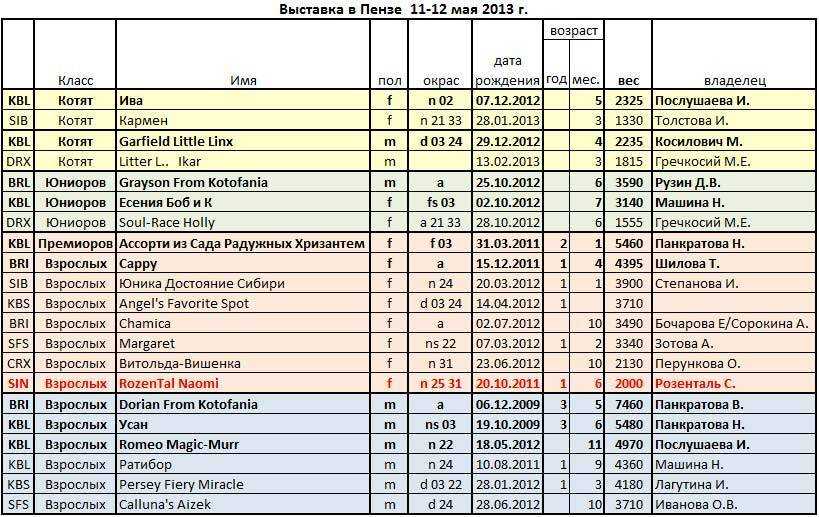 Сколько весит котенок?